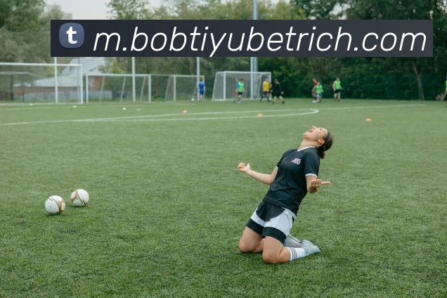 BOB体育平台生态图